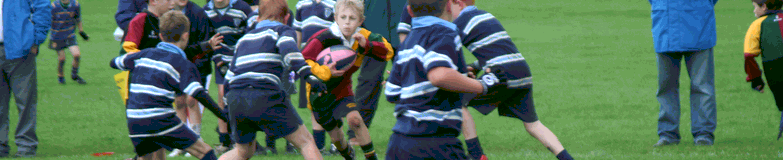 Header -Hilliard.gif